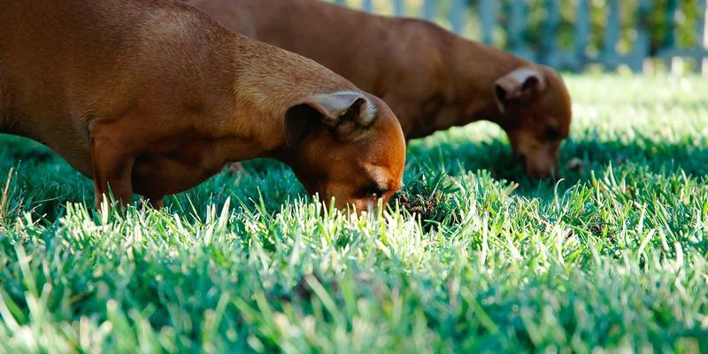 北方严寒地区节能建筑首选：秦皇岛Low-E玻璃的选型要点与安装规范