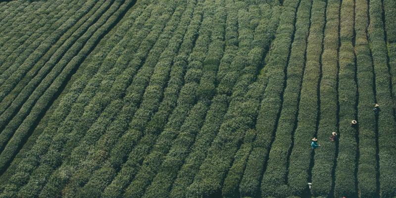秦皇岛卫浴玻璃定制指南：聚焦钢化玻璃安全要点与前沿设计潮流