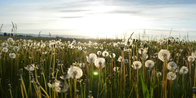 秦皇岛特种玻璃新纪元：同辉建材如何以微晶玻璃与高硼硅玻璃革新幕墙与钢化玻璃市场