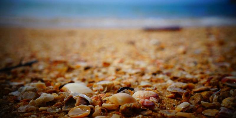 秦皇岛玻璃81：同辉建材打造高品质建筑玻璃供应新标杆