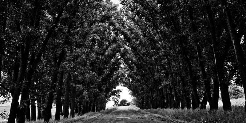 秦皇岛玻璃产业人才现状与职业技术教育创新：如何为建材供应与玻璃制品行业注入新动能