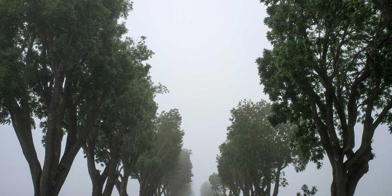 秦皇岛玻璃产业：从建材供应到高端玻璃制品，如何驱动区域经济增长？