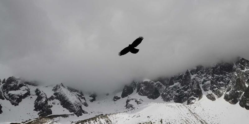 秦皇岛玻璃产业新篇章：从传统建材到现代幕墙的艺术升华
