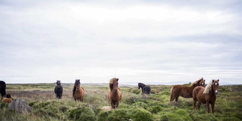 秦皇岛玻璃产业深度解析:从传统玻璃到高端钢化玻璃制品的创新之路