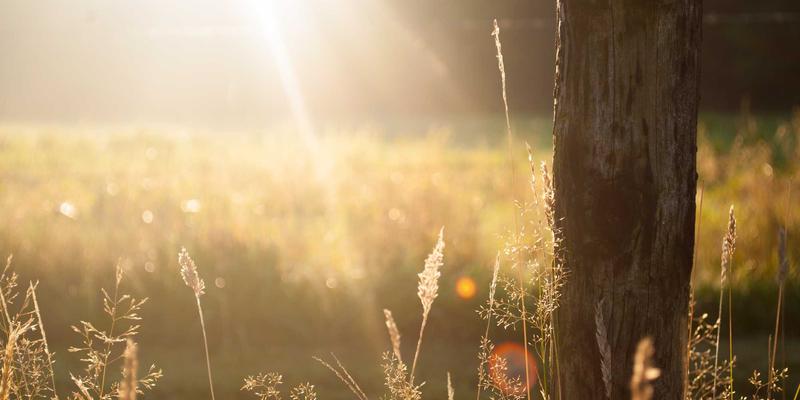 秦皇岛玻璃出口市场深度解析：钢化玻璃等建材制品的全球竞争力与贸易伙伴